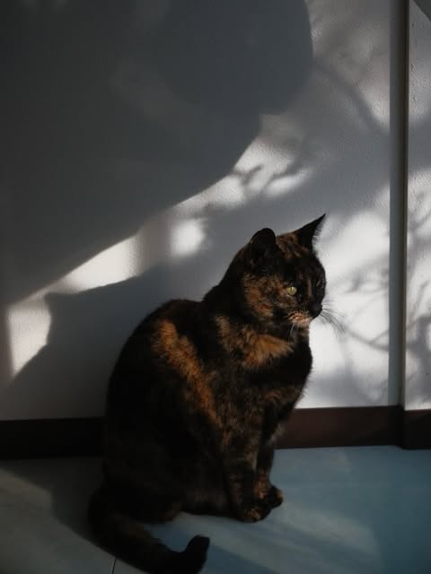 Photograph by Mao
