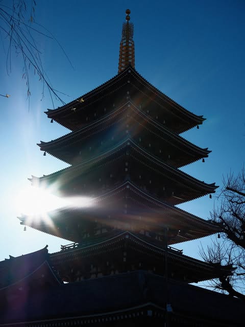 Photograph by Mao